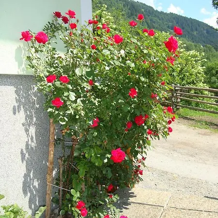 Gruberbauer Remsach Bad Gastein