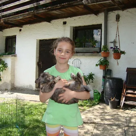 Gruberbauer Remsach Appartement *